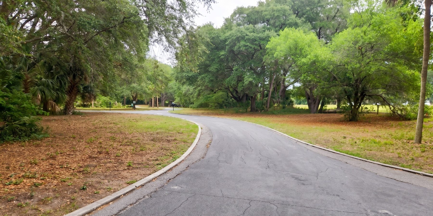 Turkey Lake Park — the course is waiting